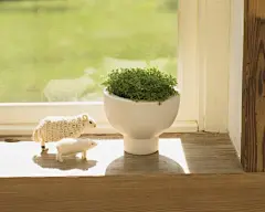 夏季绿色壁纸 (1)