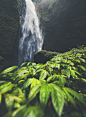Kabut Pelangi Waterfall photo by ardito Harrisna (@arditoryan) on Unsplash : Download this photo in Lumajang, Indonesia by ardito Harrisna (@arditoryan)