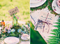 婚礼计划——绿野仙踪，户外草坪婚礼