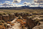 Tumbleweeds-by-Clyde-Aspevig-Buffalo-Bill-Center-of-the-West.jpg (1200×806)