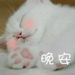 墨夜笙：仙女表情包_卡通动漫头像_我要个性网