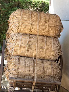 大八车装满了米袋