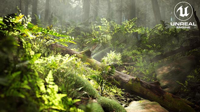UE5-森林场景-UE4静态烘焙与UE5...