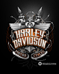 Harley-Davidson Designs : Comissioned artwork for the legendary Harley-Davidson brand.www.harley-davidson.comAgency: BravadoArt Direction: Robert Charissimo