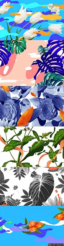 创意插画 植物插画 花卉插画设计 郁金香插画 叶子插画 玫瑰花插画 花草插画设计欣赏