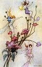 Illustration by Warwick Goble.
