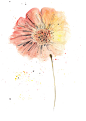 中国古风水墨花手绘水彩植物花卉装饰 免抠png透明图片背景ps素材 (56)