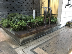 哇哈哈9527采集到合肥贡街