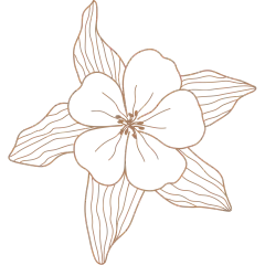 Columbine Flower