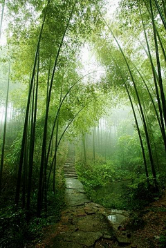 ￡夏采集到静景生意