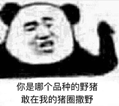 花A-888888采集到合成