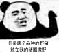 (22 条消息) 表情图 - 知乎