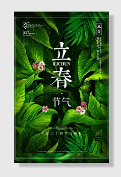 立春节气瑞雪迎春鹊登枝头