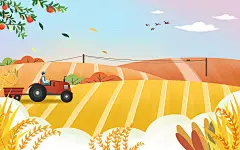 秋天插画小清新卡通秋分丰收节拖拉机和稻田原创插画海报模板下载_觅知网