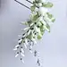雨过前山日未斜，清蝉嘒嘒落槐花。 - 小红书
