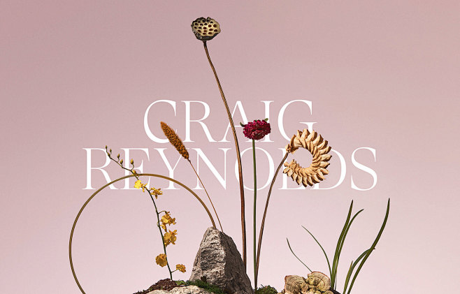 Craig Reynolds - Dig...