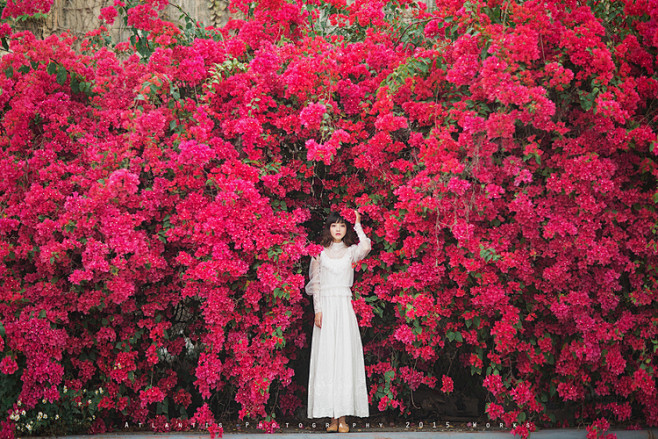花与爱丽丝II_2