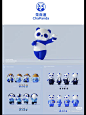 Camera_XHS_17062748220321040g2sg30ud519eb54105o9v