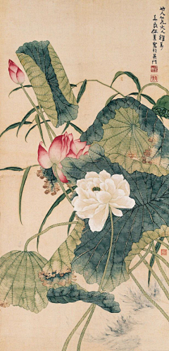 给你一拳-采集到古画