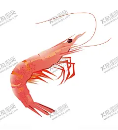 手绘皮皮虾海鲜插画 【酷图网】手绘,海鲜,插画,皮皮虾插画,手绘美食,红色大虾,大虾,皮皮虾
