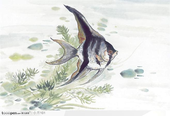 中国国画之水族世界-像燕子的金鱼