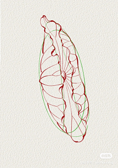 晶crystal采集到素材