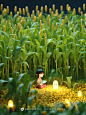 【ai宇宙吧】玉米地里看书的小女孩童话故事场景插画奇域ai绘画关键词咒语I：