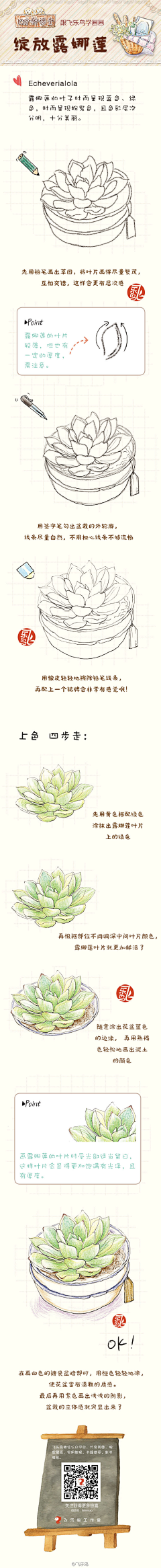 xuefeicitroen采集到飞乐鸟教程