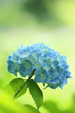 人间事往往如此，当时提起痛不欲生，几年之后，也不过是一场回忆而已。 