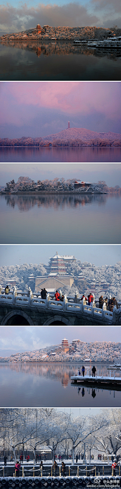 辛胖羊采集到场景