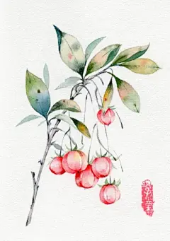 水彩---蔬果 - 高清图片，堆糖，美图壁纸兴趣社区