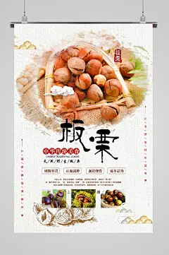 有机蔬菜绿色生活海报板栗