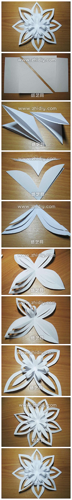 工作资料采集到花纹