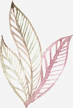 树叶飘落元素透明树叶元素免抠素材_新图网 https://ixintu.com 手绘树叶元素 手绘树叶图片 树叶底纹元素 树叶花边元素 树叶飘落元素 绿色树叶元素