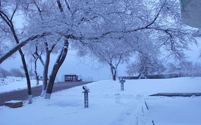 哈尔滨冬天雪景壁纸