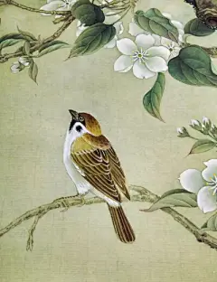 国画、工笔画 - 堆糖，美图壁纸兴趣社区