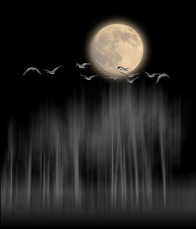 Moon & Birds