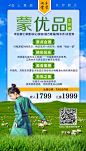 草原系列宣传海报