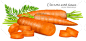 [e118]15组EPS蔬菜美食餐饮辣椒胡萝卜蘑菇豌豆食材设计矢量素材-淘宝网