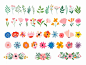 Vector flowers and plants collection with different elements isolated on white