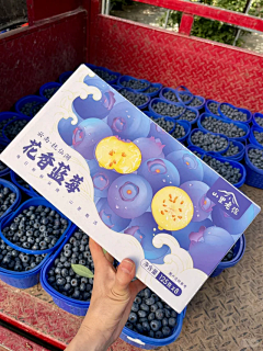 董豚豚采集到包装排列-参考