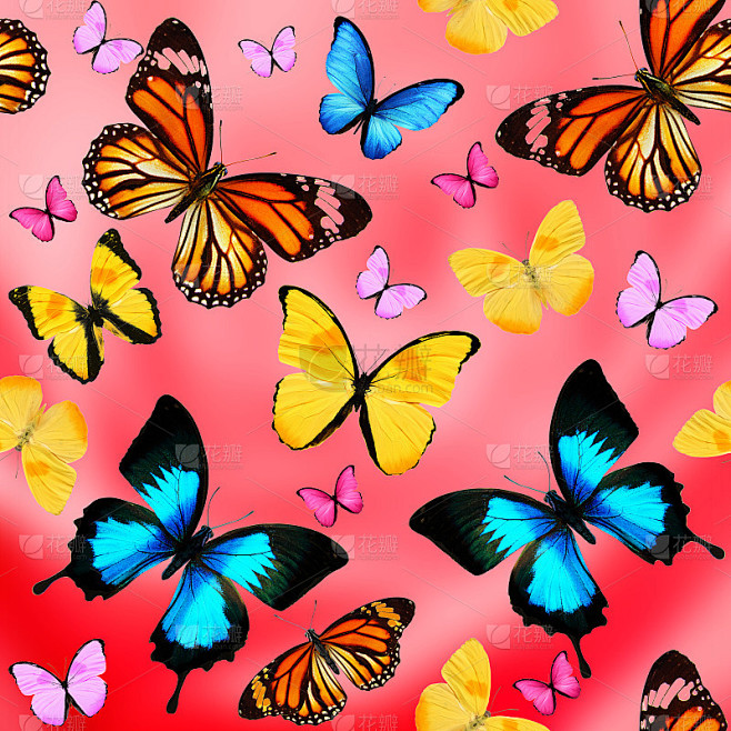 美丽的无缝背景。在粉色的蝴蝶。