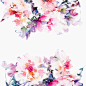 高清水彩花朵图片 5JPG