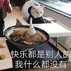 猫咪表情包～