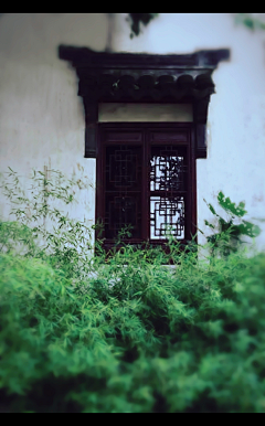 烟雨兰花采集到烟雨江南