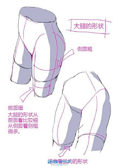 一条灰色采集到人体教学