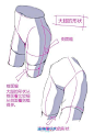 动漫绘画学习：人体躯干（胸部，臀部）、四肢的画法