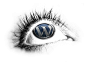 wordpress-eye