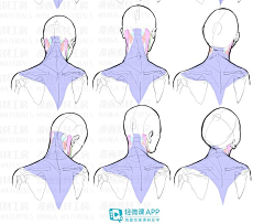 盐下采集到素材（人体结构）