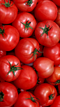 【西红柿】美食水果 。60000张优质采集：优秀排版参考 / 摄影美图 / 视觉大片提升审美。@Javen金